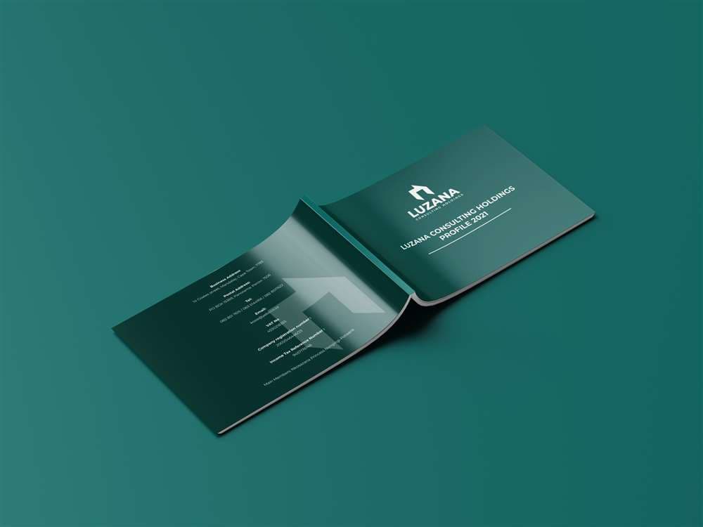 LUZANA Consulting Holdings