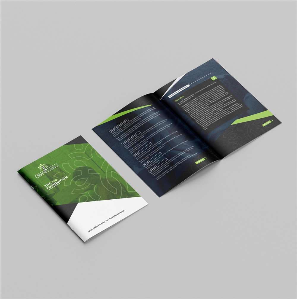 THE FIG FOUNDATION B...