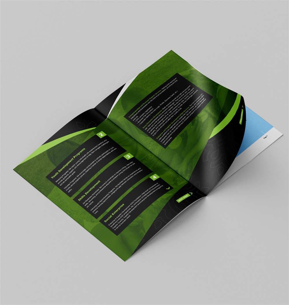 THE FIG FOUNDATION B...