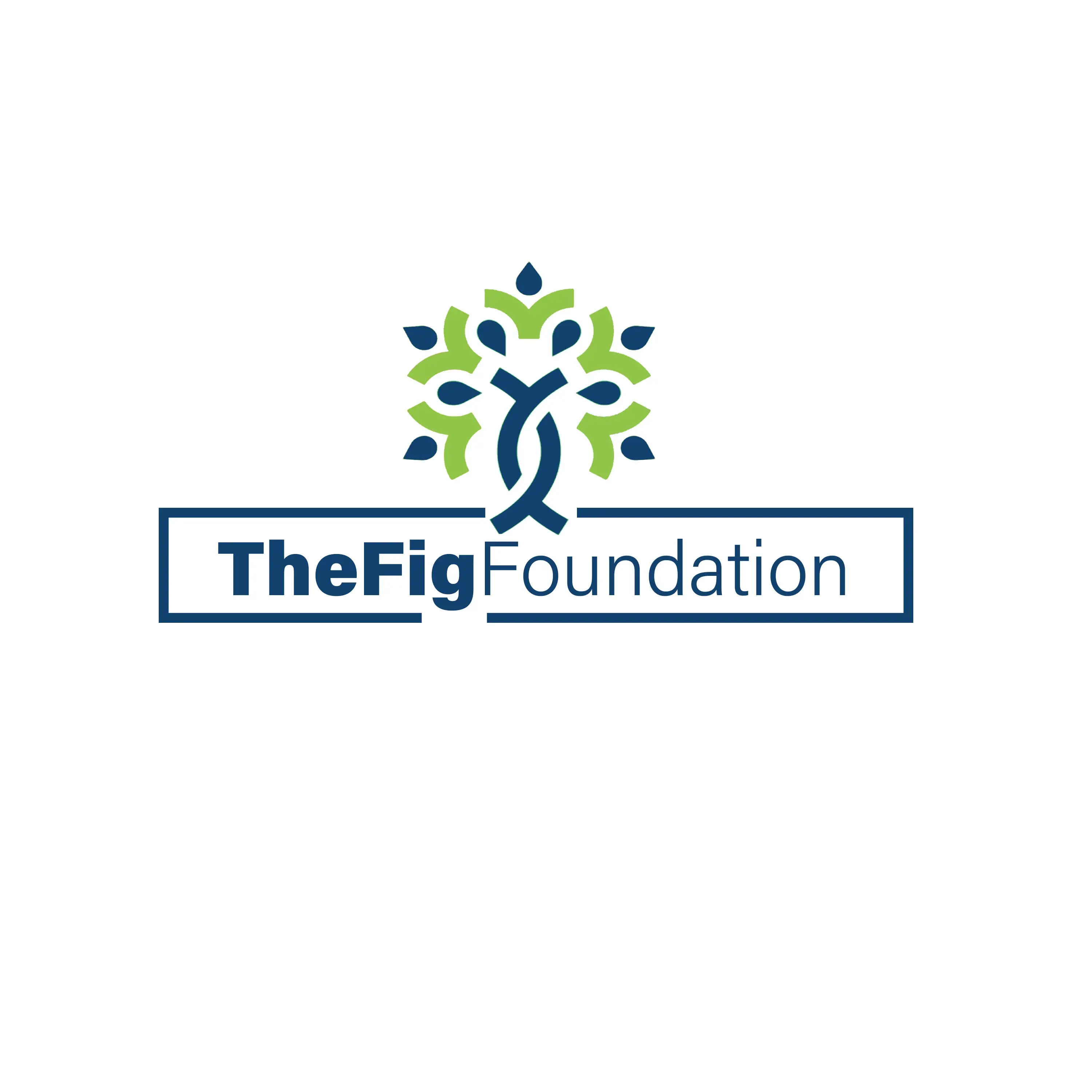 THE FIG FOUNDATION B...